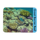 Recherche de barrière magnets Grand récif de barrière
