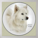 Search for american eskimo dog art Cute
