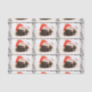 Search for pug tissue paper Merry christmas