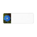Search for morning glory return address labels Summer