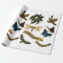 Search for caterpillar wrapping paper Nature