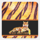 Search for tiger design stickers Animals