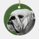 Recherche de bouledogue anglais ornements Mignon
