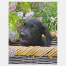 Search for labrador retriever blankets Funny