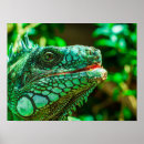 Recherche de iguane art Reptile