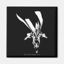 Search for fate magnets Inza