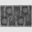Search for spider web tissue paper Ephemera