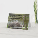 Search for ostrich cards Wild
