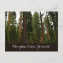 Recherche de mariposa cartes postales Paysage