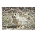 Search for rabbit pillowcases Bunny