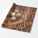 Search for bird nest wrapping paper Decoupage