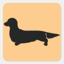 Search for long haired dachshund stickers Doxie