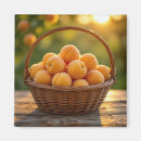 Recherche de abricots magnets Nourriture