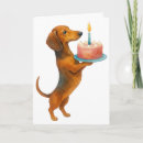 Search for hind leg Dog