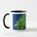 Search for concepts mugs Animal