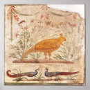 Search for phoenix bird posters Birds