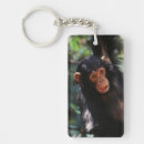 Search for common keychains Close up