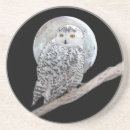 Search for owl coasters Portrait