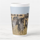 Recherche de zèbres tasses Faune