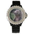 Recherche de sauvage montres Animaux dans le sauvage
