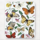 Recherche de peinture papillon tapis souris Nature
