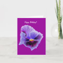 Search for pansies birthday cards Pansy