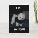 Search for 9 year old boy birthday cards Funny
