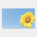 Search for sunflower note Photograph