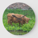 Search for highland cow clocks Animals
