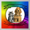 Search for pet supplies Simple