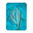 Recherche de dauphin magnets Aquarelle