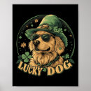 Search for st pattys day clover shamrock posters Shamrocks