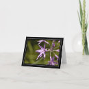 Recherche de note de wildflower Nature