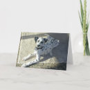 Search for dalmation cards Puppy