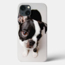 Search for full length cases Colour image