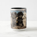 Recherche de paquet tasses Chien