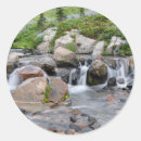 Recherche de rain autocollants Floraison