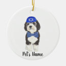 Search for bernedoodle ornaments Sheepadoodle
