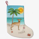 Search for greyhound christmas stockings Iggy