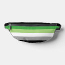 Recherche de aromatique Drapeau de fierté aromatique
