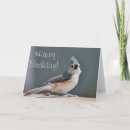 Search for titmouse Bird