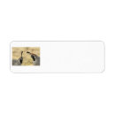 Search for quail return address labels Nature