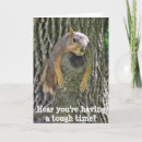 Search for squirrel get well cards Funny