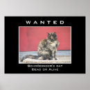 Search for animals wanted posters Cat