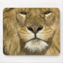 Recherche de panthera lion tapis souris Animal