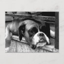 Recherche de rebord cartes postales Fenêtre