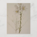 Recherche de fleurs 19ème cartes postales Illustration