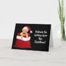 Search for adorable christmas cards Holiday cheer