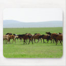 Search for grassland mousepads Landscape