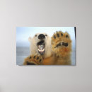 Search for nwr canvas prints Polar bear